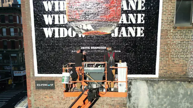 Widow Jane mural by Open Air Gallery, New York, NY