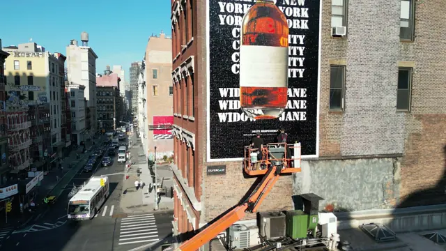 Widow Jane mural by Open Air Gallery in New York, NY